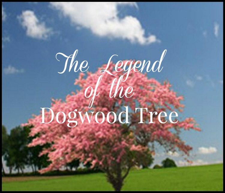 The Story Of The Dogwood Tree