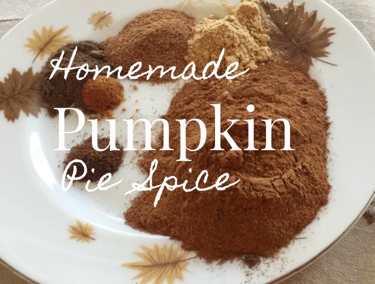 Kitchen Basics Pumpkin Pie Spice Dining With Debbie   Pumpkin Pie Spice Horz 5 Close Feature 