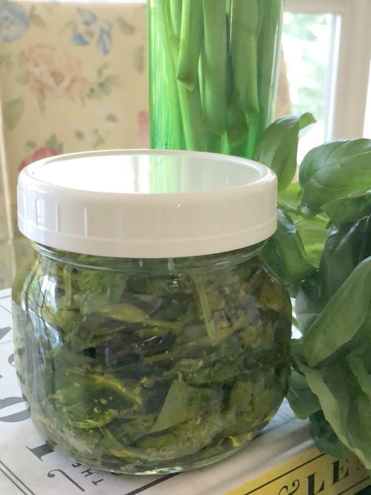 Preserving Summer Basil in Oil